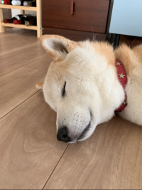 やまちゃん