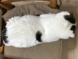 うんぺ