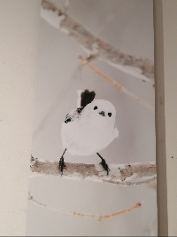 ちぃねえ
