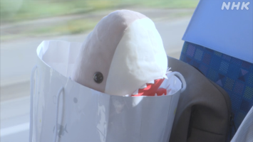 まめ