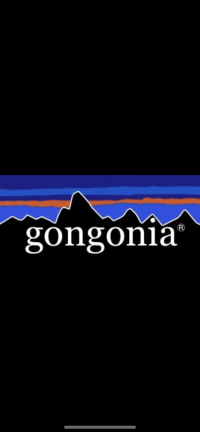 gongonia