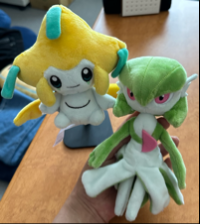 アヤメ
