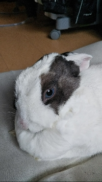 メイみゅう