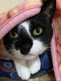 なお
