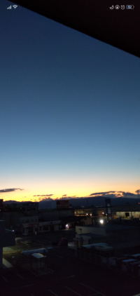 海苔