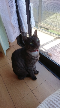 みぃ