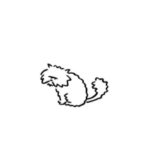 TheCat