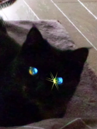 くまち