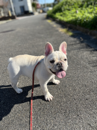 ドゥブちゃんママ