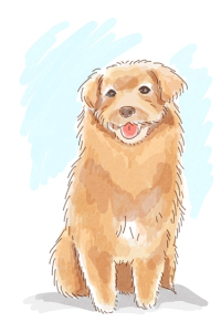 まめお