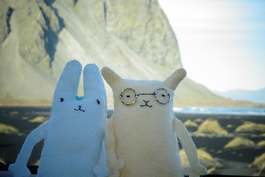 ミント