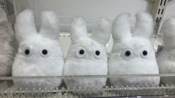 ゆきち