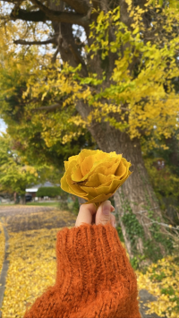しょ