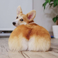 としざう