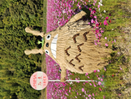 グランデ