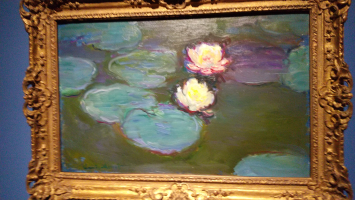 cosmos