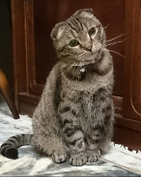 みちきち
