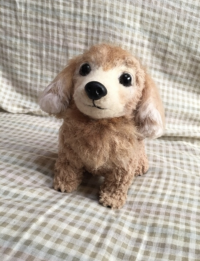 きょん。