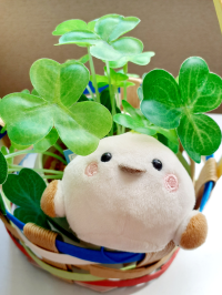 なお