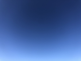 はる