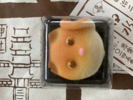 ピンクドルフィン