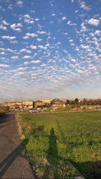 かりんとう