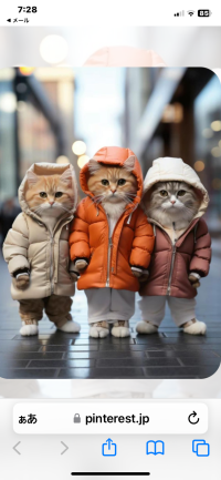 わこ