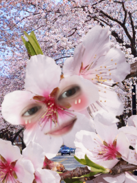 未来
