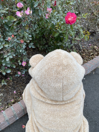 まさみん