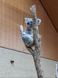 カラフルライオン