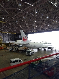 すこやか　なの
