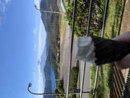 すい
