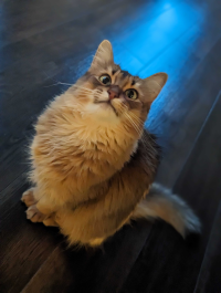 ひろ