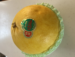 碧い猫