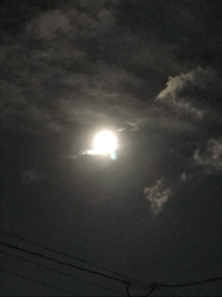 やんまー