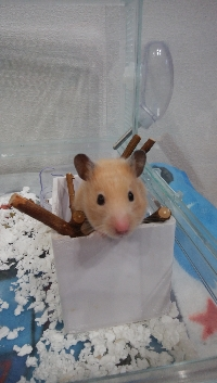 めりぃ