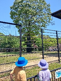 こーめー