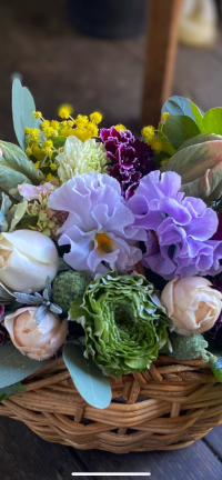 ぽかぽかグリーン