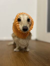 ちゃあ