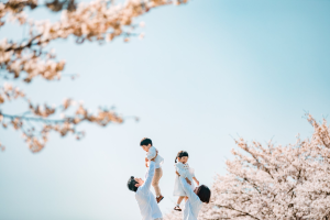 さくら