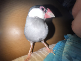 じゅんいち