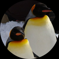 ひいろ