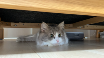 まる