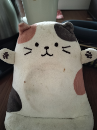 柚