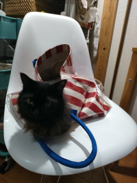 ぉお
