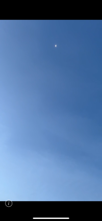 まこ