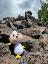 ミュウミュウ