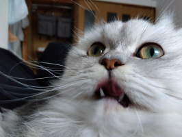 えっちゃん