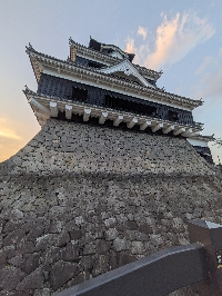 光