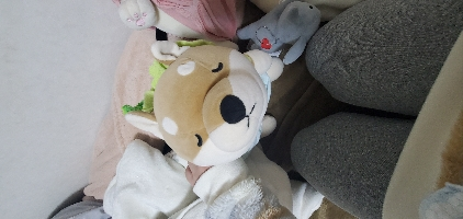 KotaYu